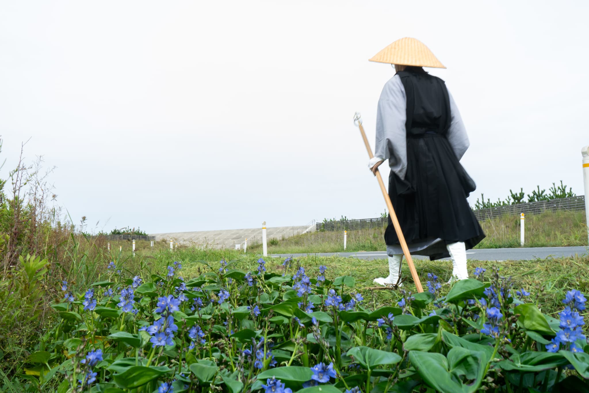 イメージ写真