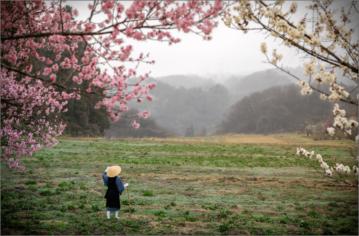 風景の写真