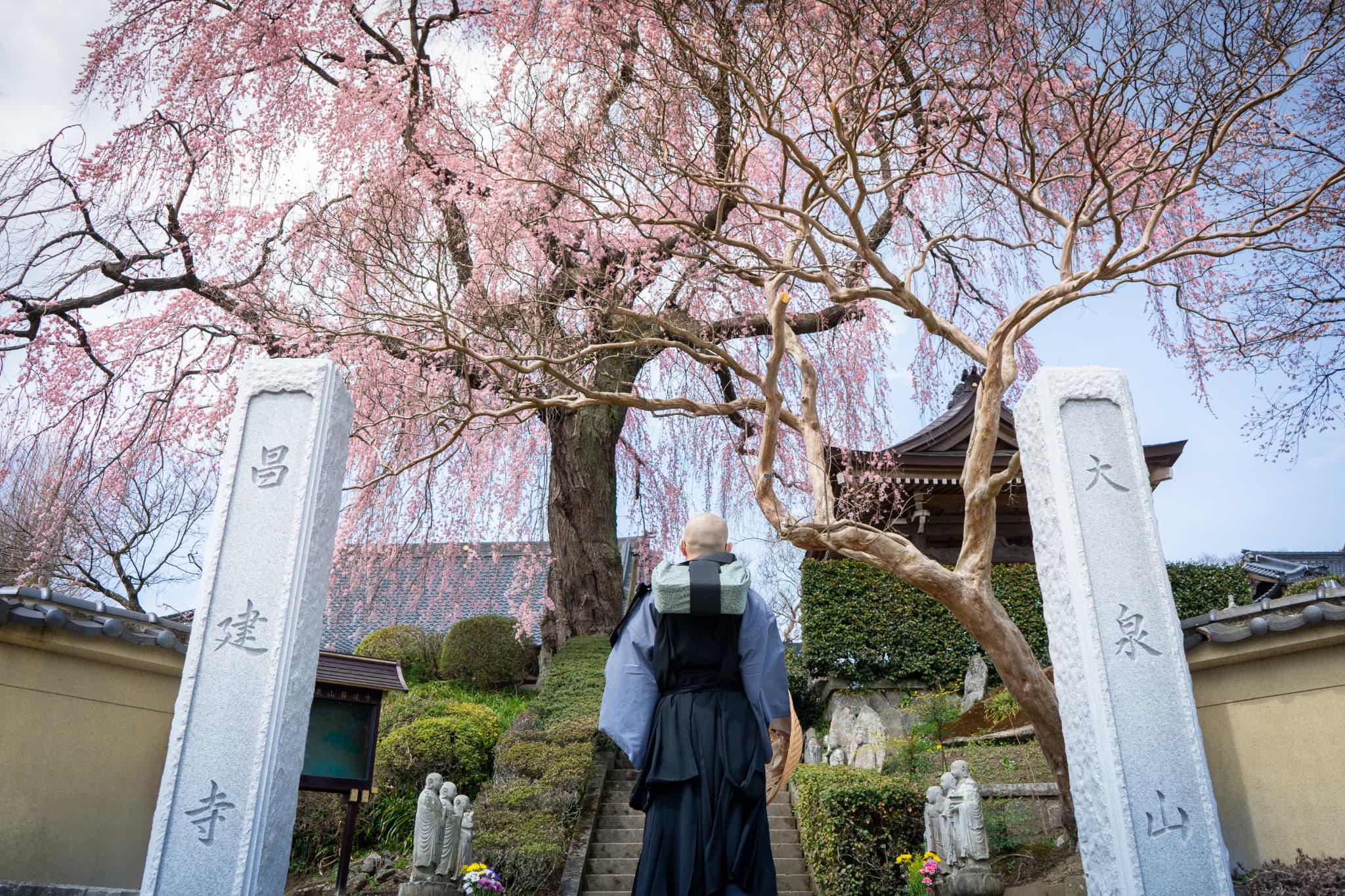 イメージ写真